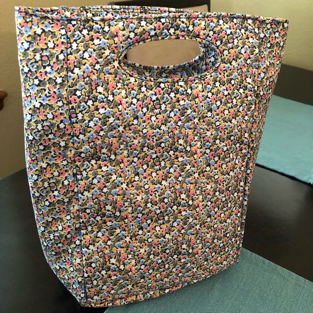 Old Navy lunch sack.